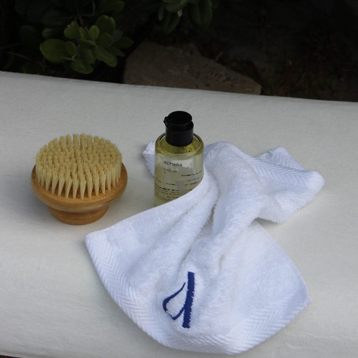 Dry Brush