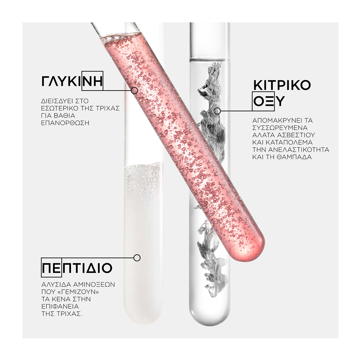 Première Essentials Set
