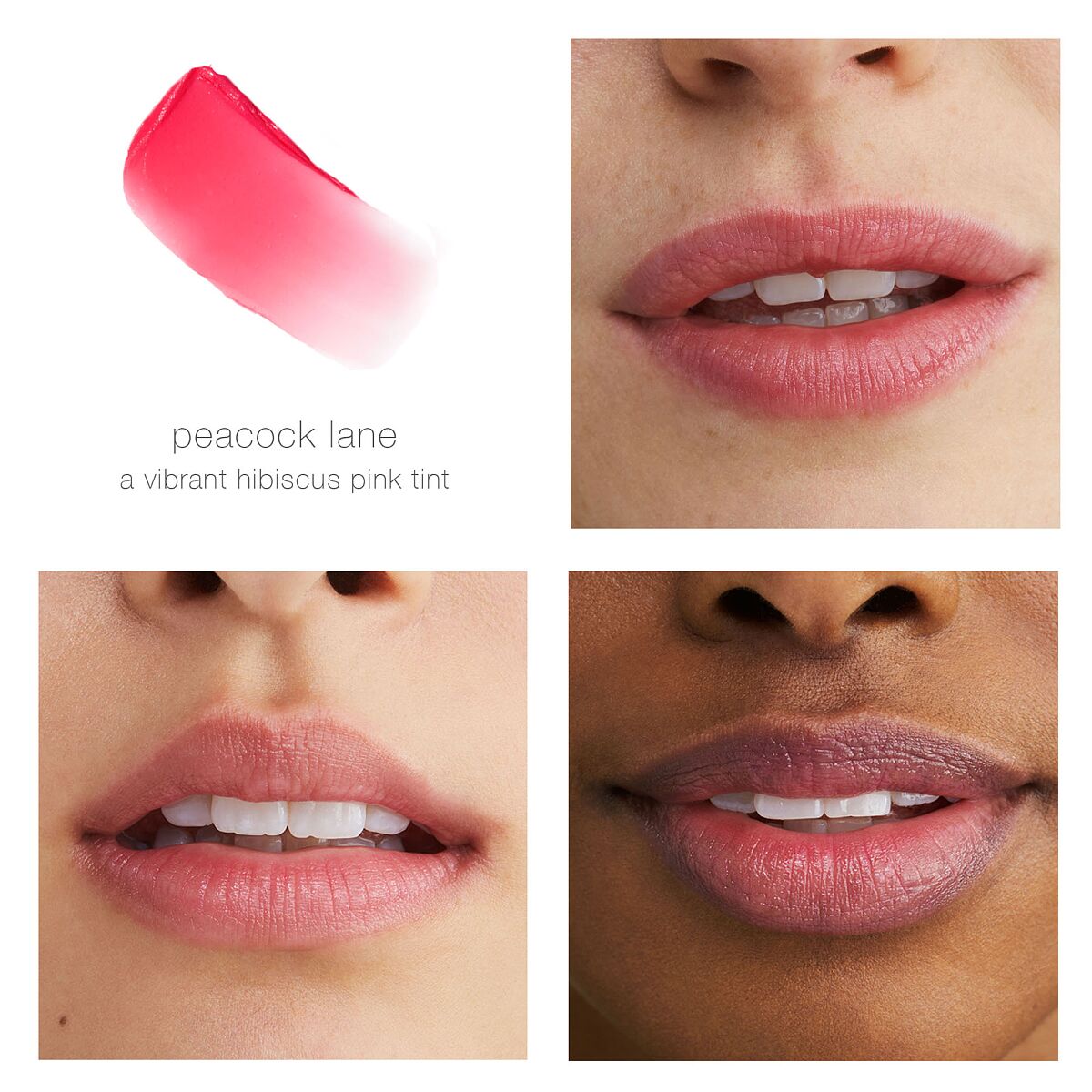 Tinted Daily Lip Balm - Peacock Lane