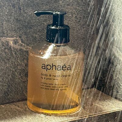 Body & Hand Cleanser