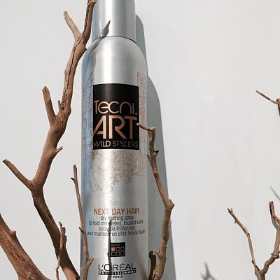 Wild Stylers Techni.Art Next Day Hair